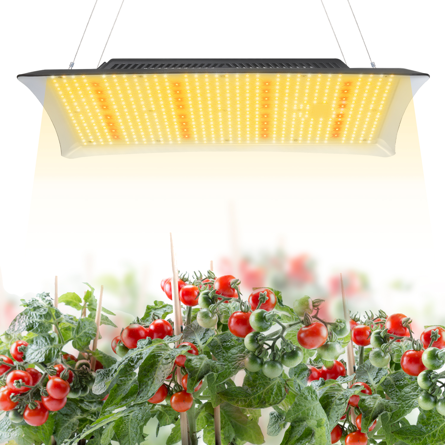 艾博特YD系列2000詳情頁