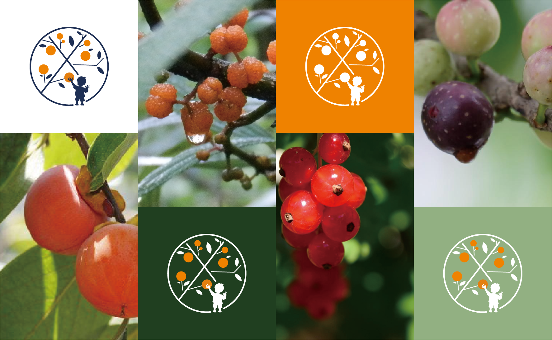 喜山分子果汁品牌VI設計,水果茶品牌商標設計，飲品標志logo設計，設計LOGO開店，奶茶商標設計注冊