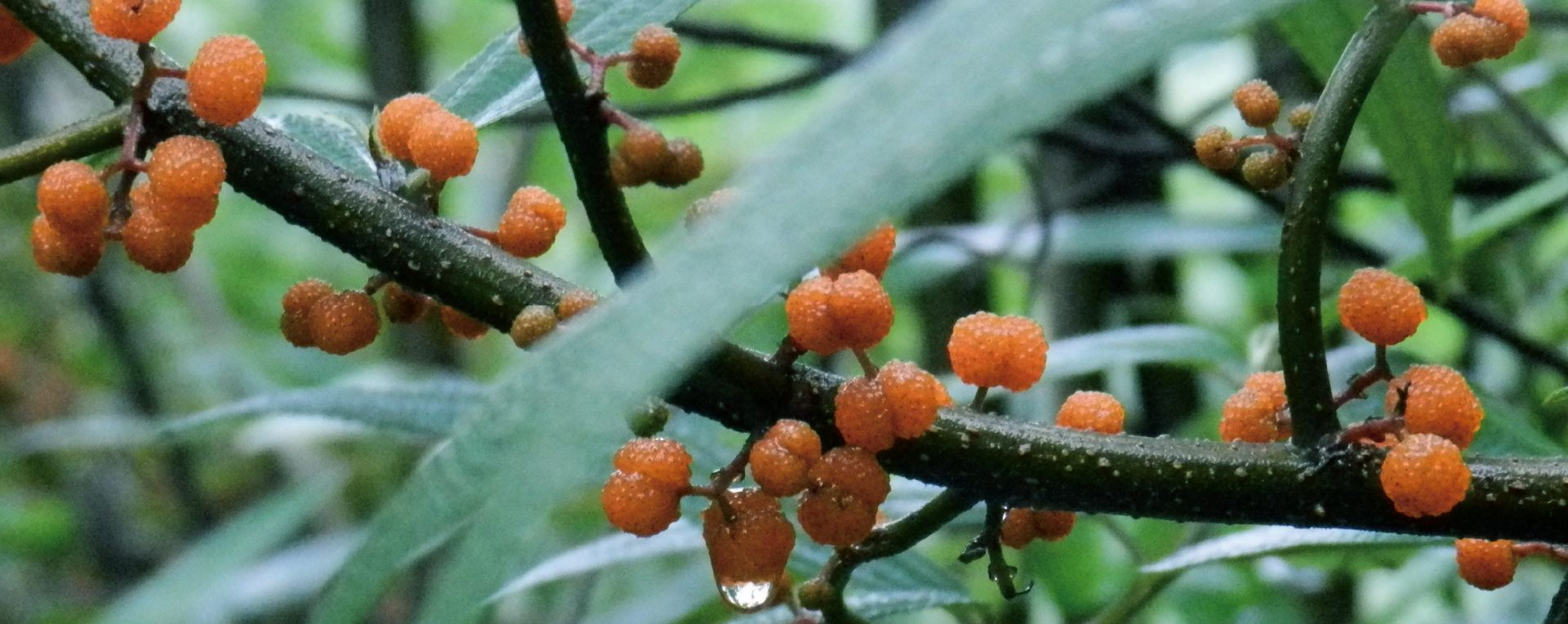 品牌VI設計，VI設計，企業VI設計公司，微型VI設計項目