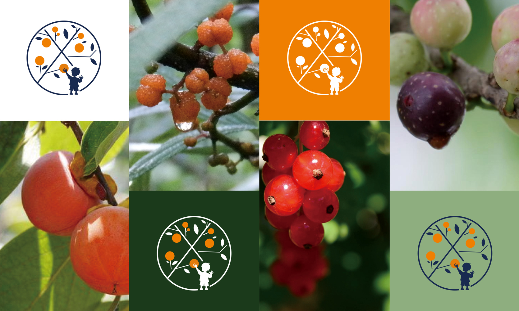 喜山分子果汁-品牌策劃VI設計