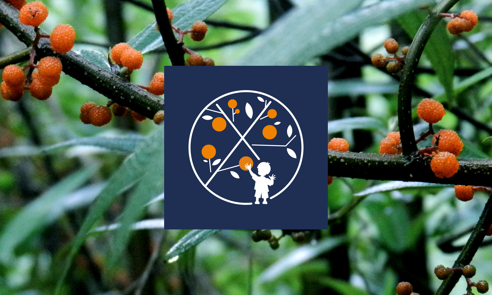 果汁品牌設(shè)計(jì)，新式茶飲品牌設(shè)計(jì)，奶茶品牌設(shè)計(jì)，奶茶品牌logo設(shè)計(jì)，飲品品牌logo設(shè)計(jì)