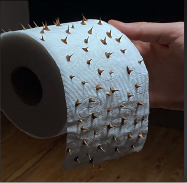 帶刺的“紙巾”