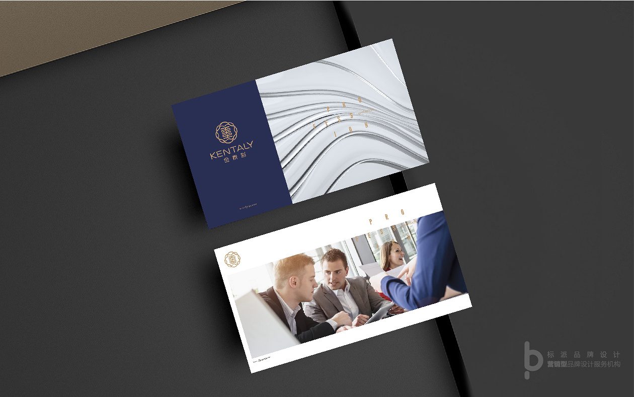 深圳vi設計公司,企業形象設計,標志logo,品牌策劃,標派視覺品牌設計公司