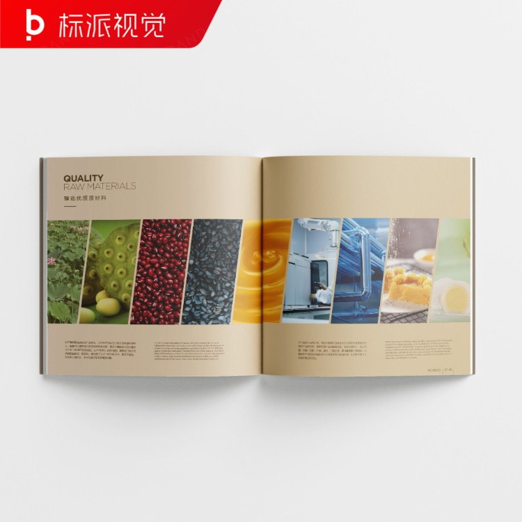 照明畫冊設(shè)計(jì)，智能照明品牌宣傳設(shè)計(jì)公司{標(biāo)派視覺微型VI設(shè)計(jì)}