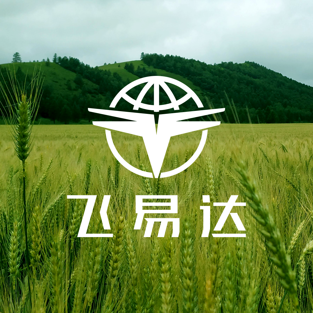 飛易達品牌LOGO設計，無人機品牌VI設計，電機品牌VI設計公司